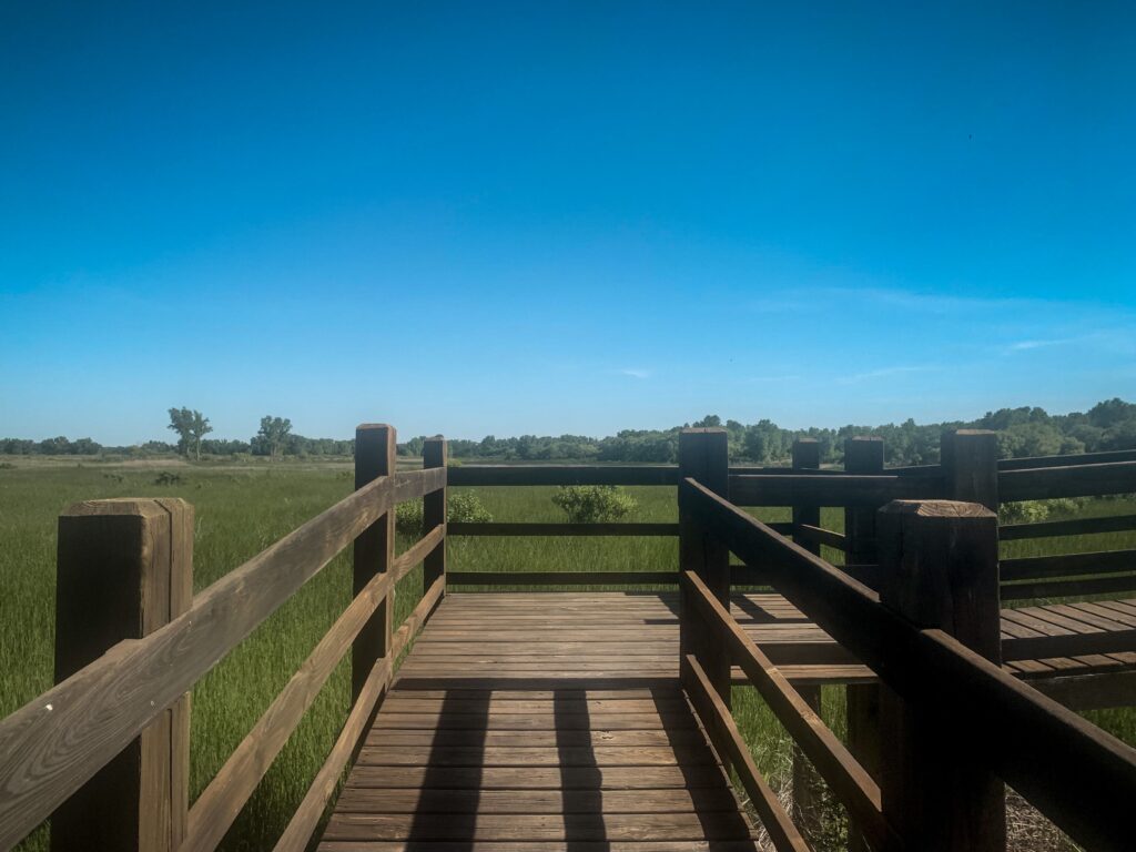 Looking at an observation point